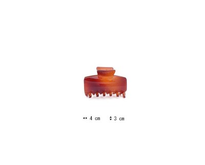 C31011009