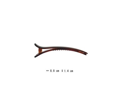 C31011060