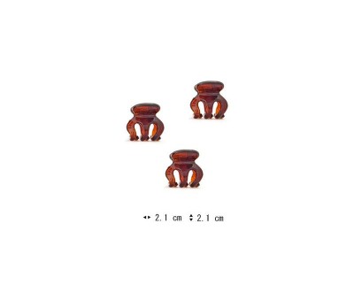 C31011071