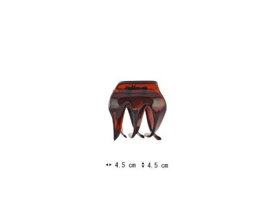 C31011095