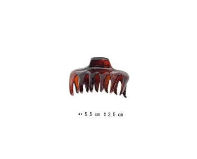 C31011107