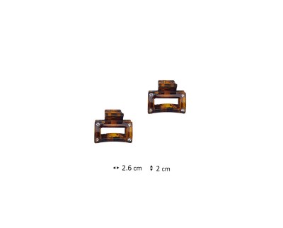 C31011130